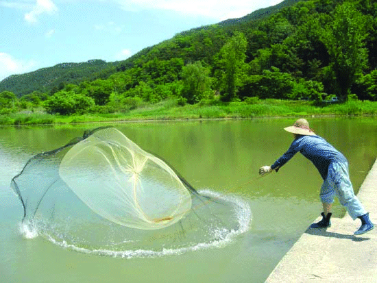 뉴스 이미지