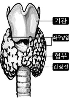 뉴스 이미지