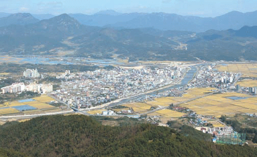 뉴스 이미지