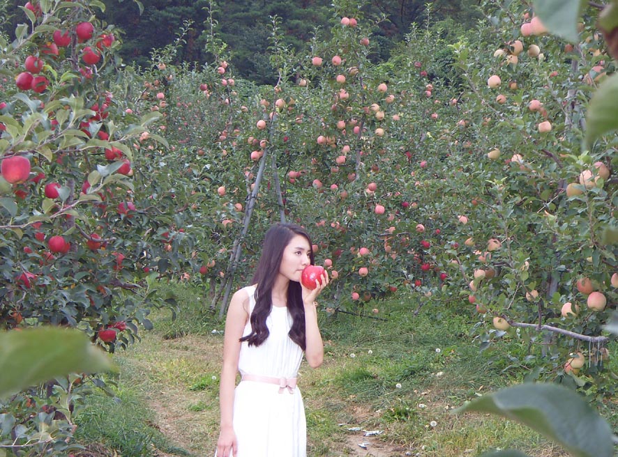 뉴스 이미지