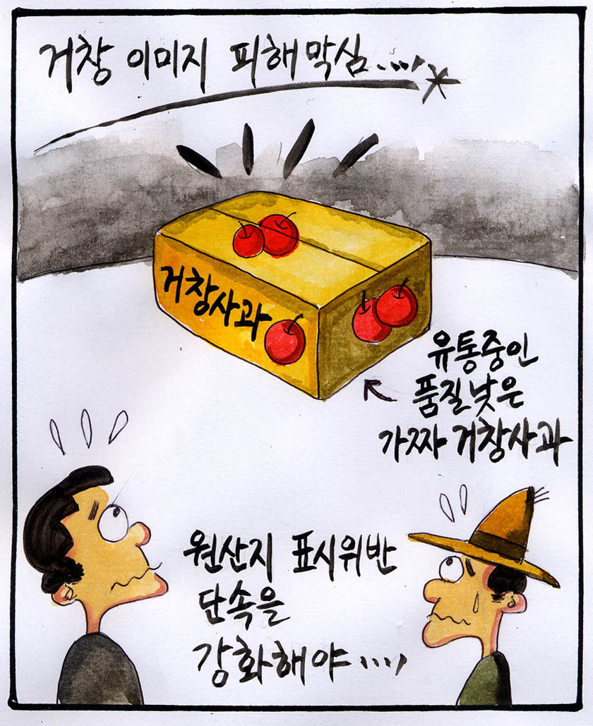 뉴스 이미지