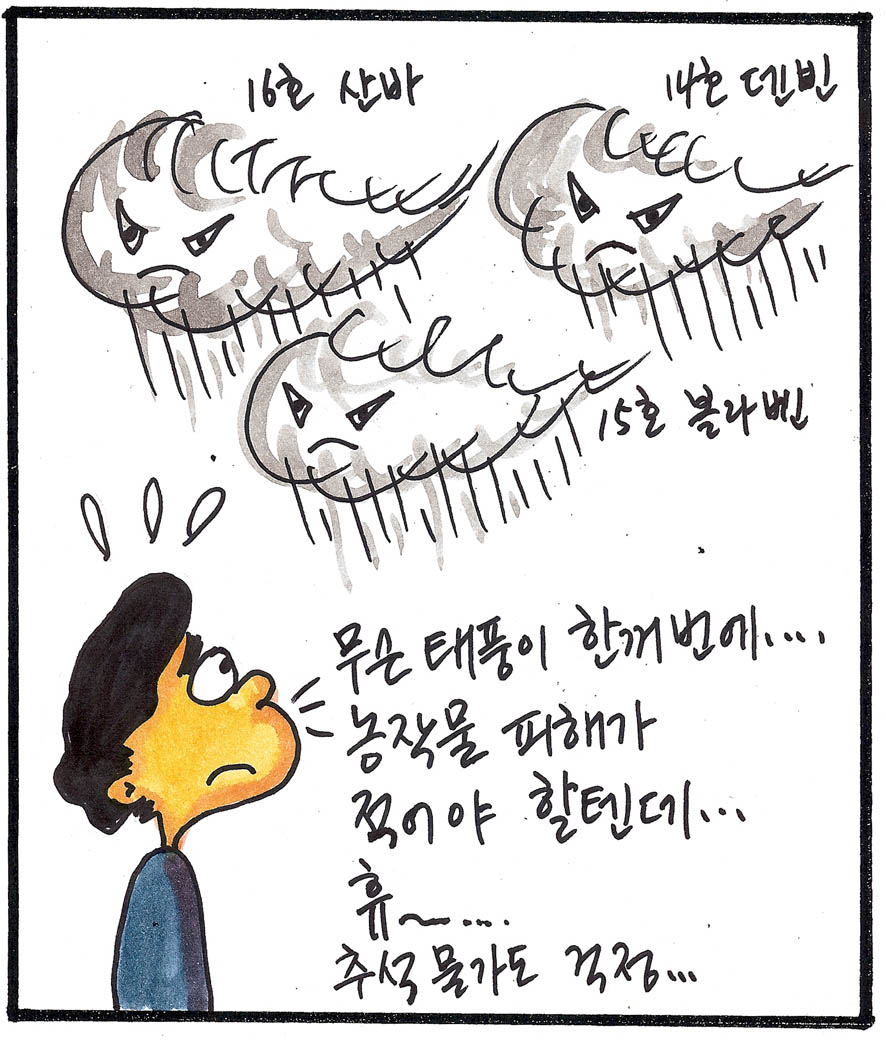 뉴스 이미지