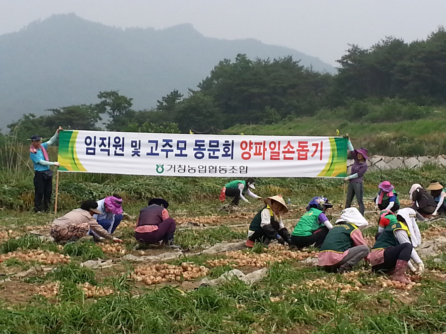 뉴스 이미지