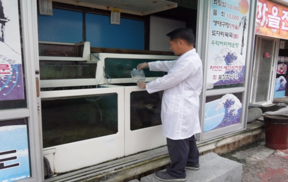 뉴스 이미지
