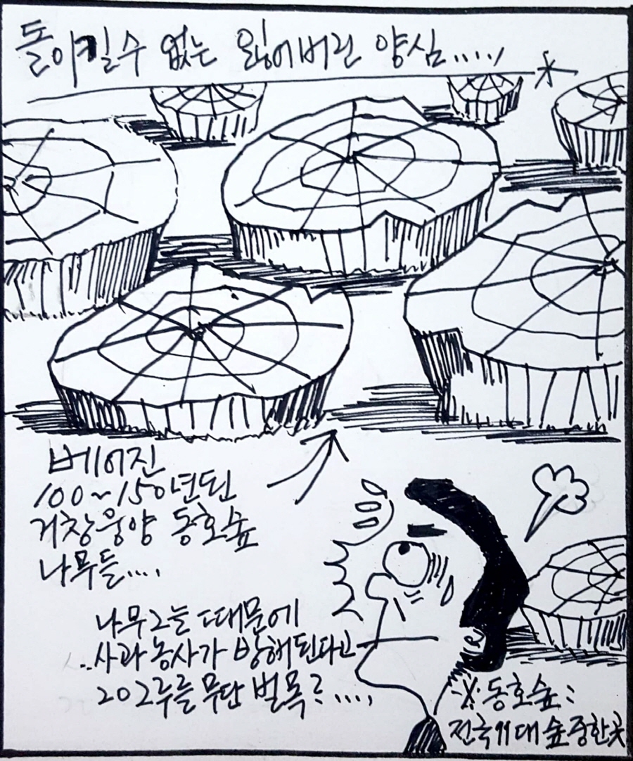 뉴스 이미지