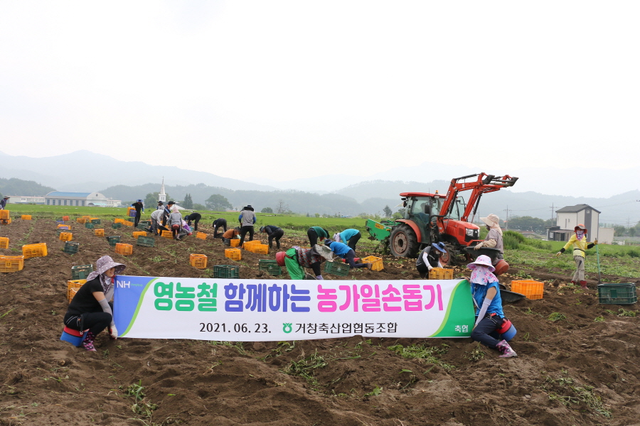 뉴스 이미지