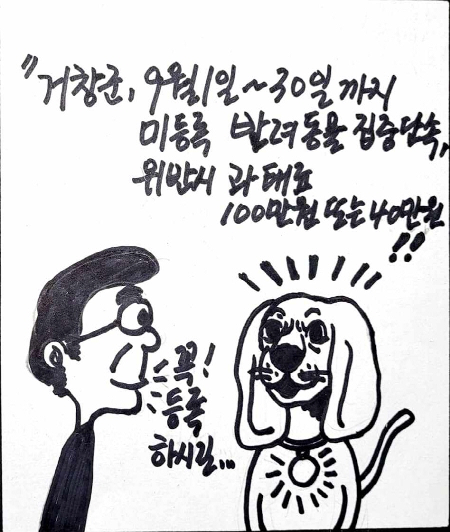 뉴스 이미지
