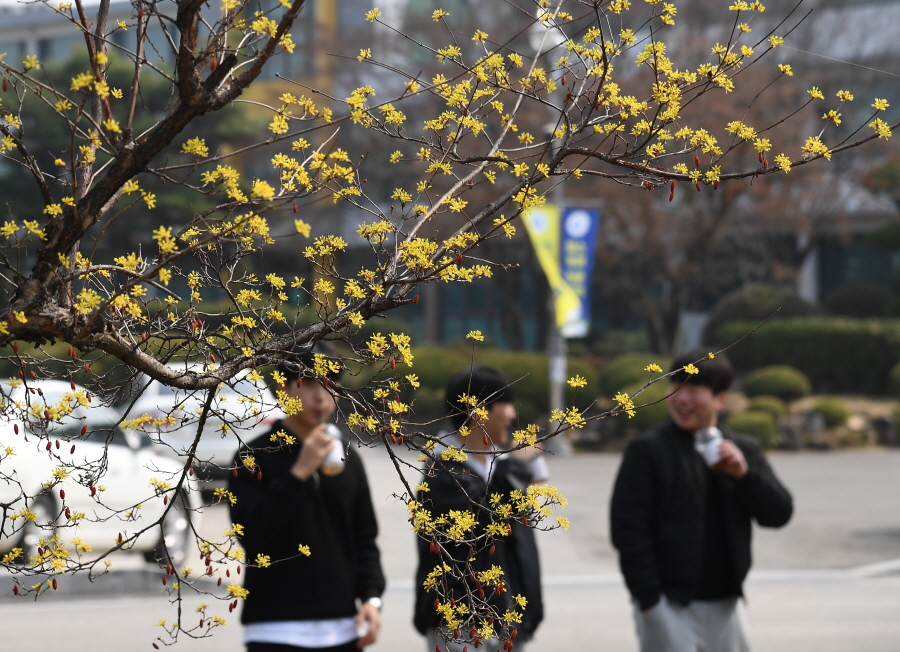 뉴스 이미지