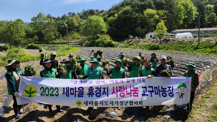 뉴스 이미지