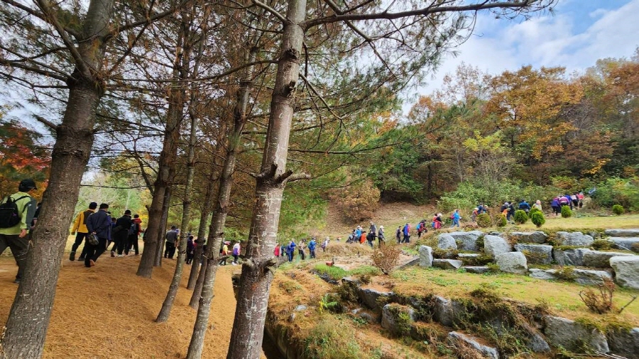 뉴스 이미지