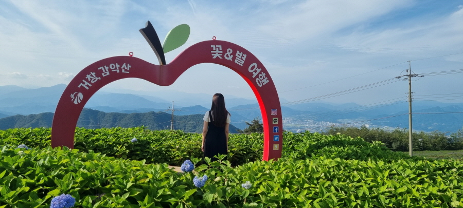 뉴스 이미지