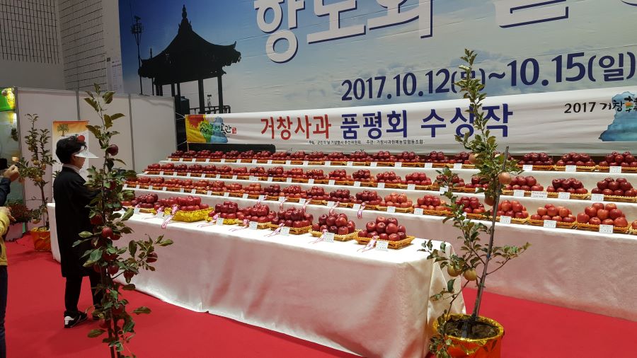 뉴스 이미지