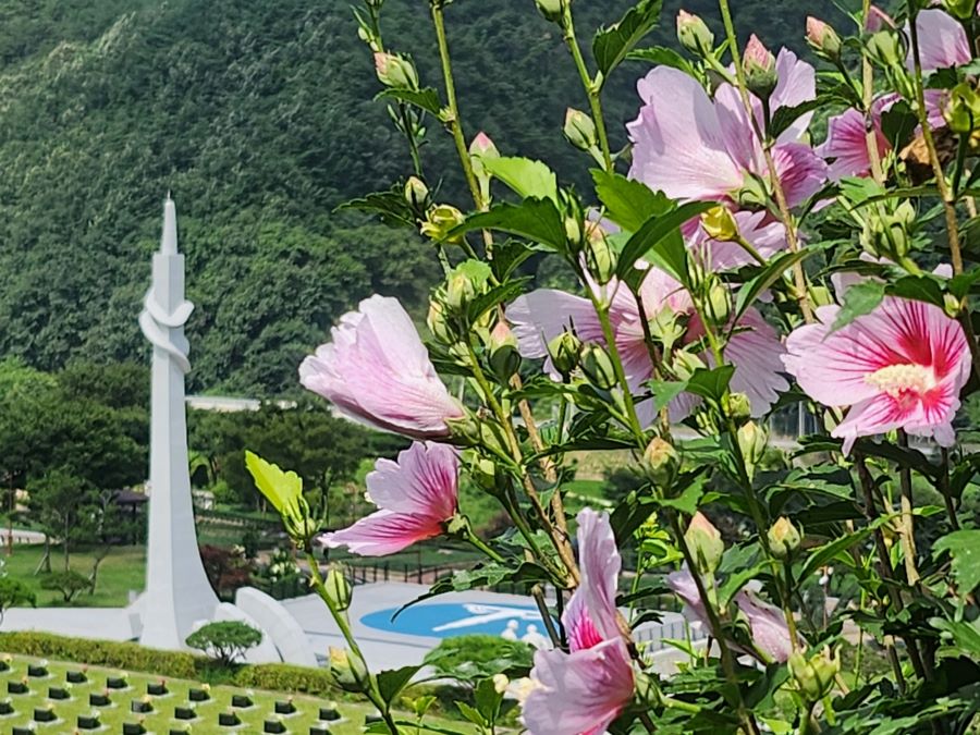 뉴스 이미지
