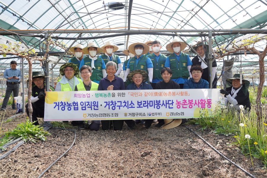 뉴스 이미지
