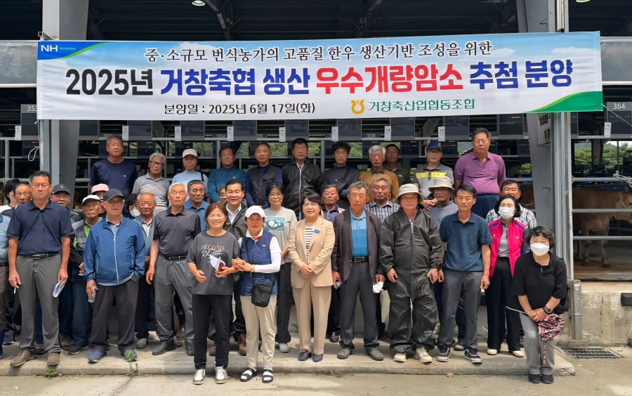 뉴스 이미지